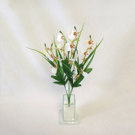 MINI BUQUE DE ORQUIDEA X 6 (M) 40CM BOX POR COR