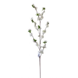 PESSEGUEIRO C/ 60 FLORES BRANCO (M) 1,23M