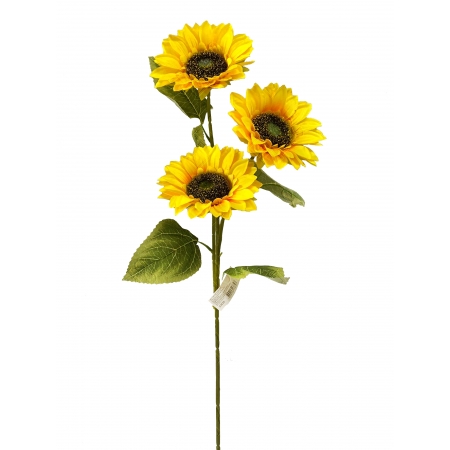 GIRASSOL X 3 (D) 89CM