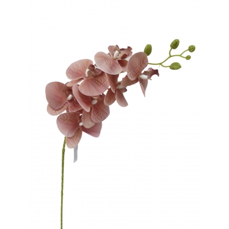 ORQUIDEA TOQ. REAL MARROM X 7  (M) 1,05M
