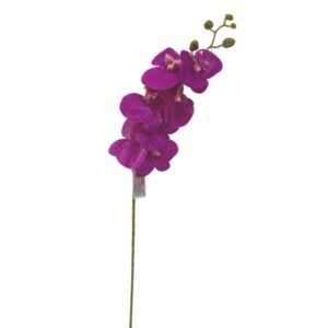 ORQUIDEA TOQ. REAL FUCSIA X 7 (M) 1.05M