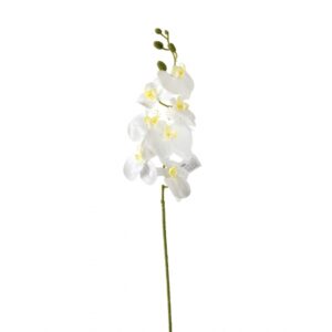 ORQUIDEA TOQUE REAL BRANCA X 7 (M) 1,05M