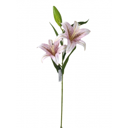 GALHO LIRIO TOQUE NATURAL X 2 (M) 94CM BOX POR COR