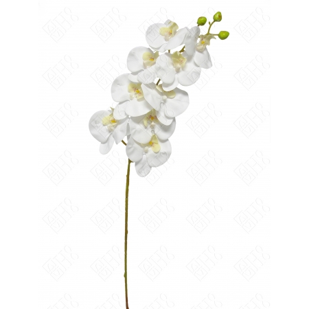 ORQUIDEA TOQUE NATURAL BRANCA X 9 (M) 95CM
