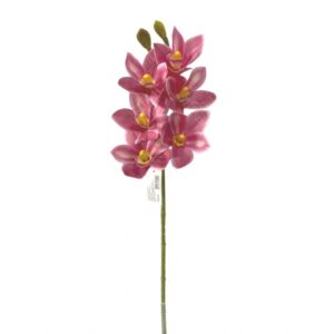 ORQUIDEA CYMBIDIUM 3D X 6 (M) 68CM BOX POR COR