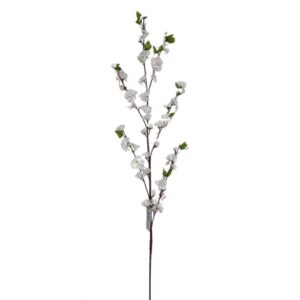 GALHO DE PESSEGUEIRO BRANCO X 6 (M) 1,18M