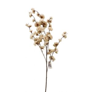 GALHO DE CRAVINA CREME X 10 (M) 1,09M