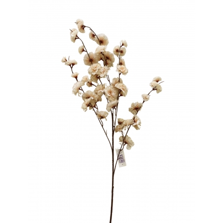 GALHO DE CRAVINA CREME X 10 (M) 1,09M