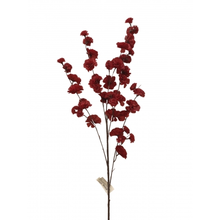 GALHO DE CRAVINA VERMELHO X 10 (M) 1,09M