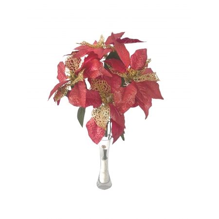 BICO DE PAPAGAIO X 5 RED (D) 47CM