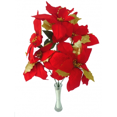 BICO DE PAPAGAIO X 5 (D) 49CM