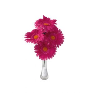 GERBERA X 5 (D) 31CM
