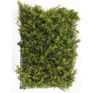 TAPETE DE GRAMA DE PITTOSPORUM E AVENCA (M) 60X40CM