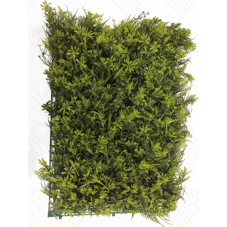 TAPETE DE GRAMA DE PITTOSPORUM E AVENCA (M) 60X40CM