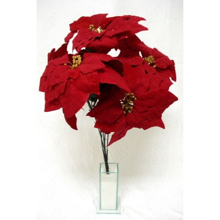 BICO DE PAPAGAIO X 5 (D) 49CM