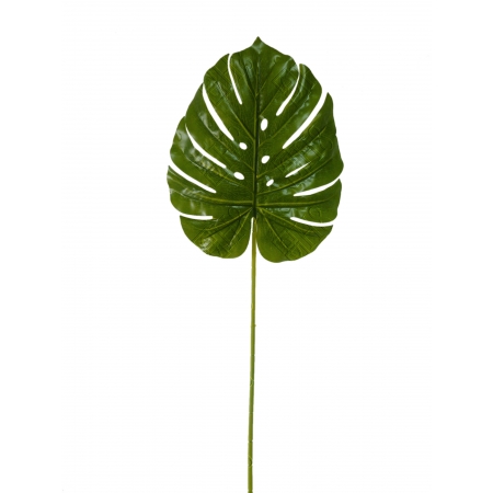 COSTELA DE ADAO DE SILICONE GRANDE X 1 (M) 88CM (FOLHA 33CM)