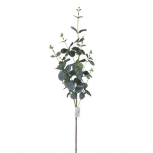 GALHO ALTO DE EUCALIPTO VERDE X 2 (M) 95CM