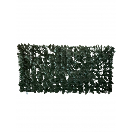 MURO INGLES FICUS (M) 2,00M X 1,00M