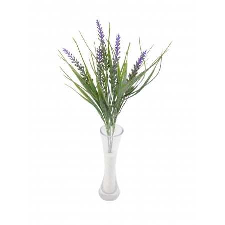 LAVANDA NEVADA X 5 (M) 35CM