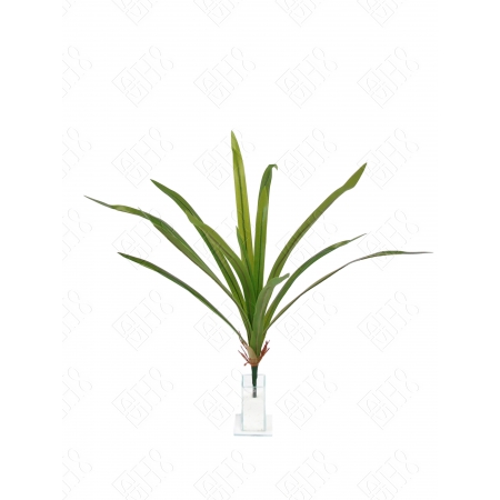 FOLHA DE ORQUIDEA GRANDE COM RAIZ TOQUE NATURAL X 13 (M) 62CM