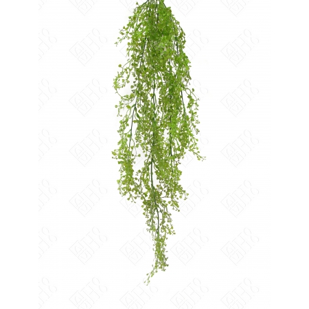PENDENTE DE MINI PEPEROMIA X 8 (M) 88CM BOX POR COR