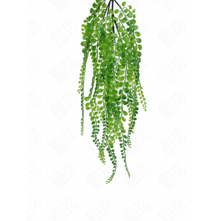 PENDENTE FOLHAGEM PLASTICA DE PEPEROMIA  X 5 (M) 80CM BOX POR COR