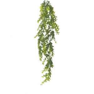 PENDENTE PLASTICO DE MINI FICUS  X 2 (M) 80CM BOX POR COR