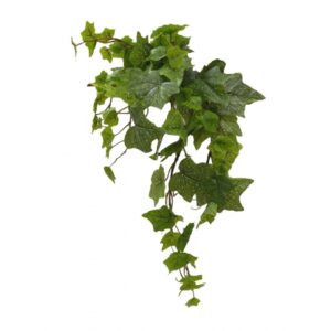 PENDENTE DE FOLHAS DE HERA TOQUE NATURAL X 9 (M) 70CM