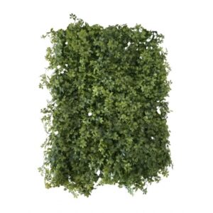 TAPETE DE GRAMA DE PACHYSANDRA (M) 60X40CM