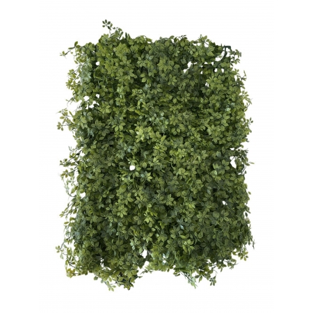 TAPETE DE GRAMA DE PACHYSANDRA (M) 60X40CM