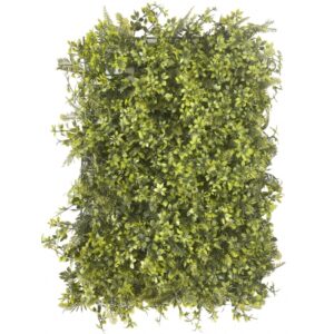 TAPETE DE GRAMA DE SAMAMBAIA E PACHYSANDRA 60X40CM  (M)