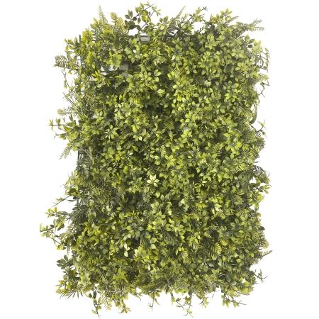 TAPETE DE GRAMA DE SAMAMBAIA E PACHYSANDRA 60X40CM  (M)