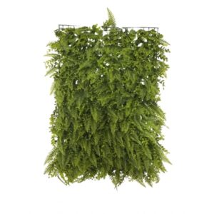 TAPETE DE GRAMA MISTO DE SAMAMBAIA COM MINI EUCALIPTO 60X40CM (M)