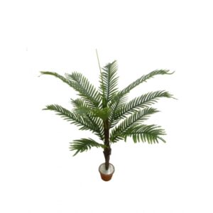 PALMEIRA ARECA  (M) 1,20M