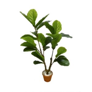 ARVORE FICUS LYRATA PEQ.  (D) 90CM