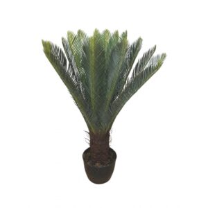 ARVORE CYCA TOQUE REAL VERDE CLARO X 24 FOLHAS (M) 95CM