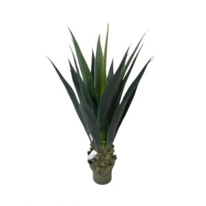 AGAVE AZUL AMERICANA TOQUE REAL VERDE X 15 FOLHAS (M) 90CM