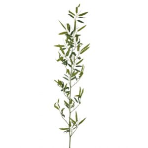 GALHO DE BAMBU TOQUE NATURAL VERDE X 1 (M) 1,50M