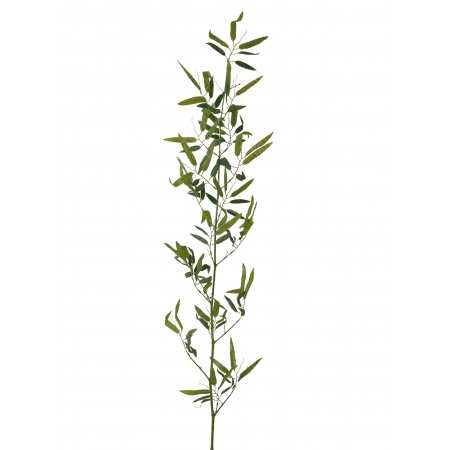 GALHO DE BAMBU TOQUE NATURAL VERDE X 1 (M) 1,50M