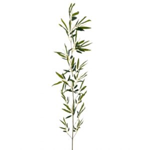 GALHO DE BAMBU TOQUE NATURAL MARROM X 1 (M) 1,50M