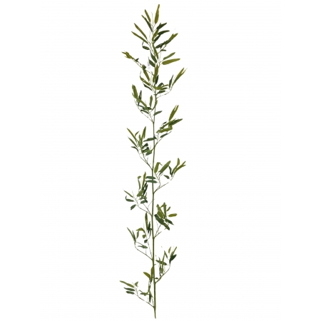 GALHO DE BAMBU TOQUE NATURAL VERDE X 1 (M) 2,00M