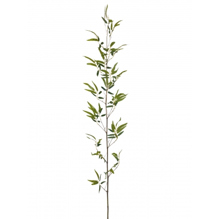 GALHO DE BAMBU TOQUE NATURAL MARROM X 1 (M) 2,00M