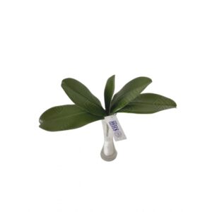 FOLHA DE ORQUIDEA TOQUE NATURAL PREMIUM X 5 (M) 26CM