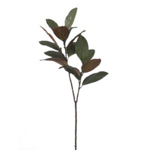 ARVORE FICUS ELASTICA BURGUNDY TOQUE NATURAL X 2 (M) 1,13M (BOX POR COR)