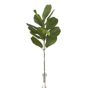 MINI ARVORE DE FICUS LYRATA TOQUE NATURAL X 1 (M) 90CM