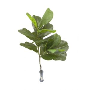 MINI ARVORE DE FICUS LYRATA TOQUE NATURAL X 2 (M) 88CM