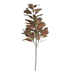 ARVORE DE MAGNOLIA TOQUE NATURAL  X 3 (M) 1,35M (BOX COLORIDO)