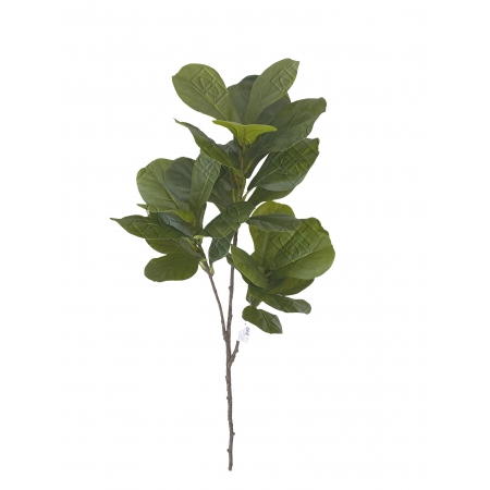 ARVORE DE FICUS LYRATA TOQUE NATURAL X 3 (M) 1,36M