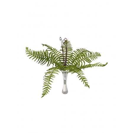 BUQUE DE SAMAMBAIA AMERICANA X 12 (M) 50CM