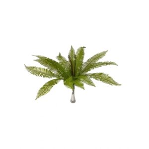 BUQUE DE SAMAMBAIA AMERICANA X 18 (M) 60CM